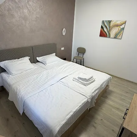 Casa Malinului * ブラショフ