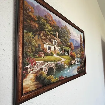 Casa Malinului * ブラショフ