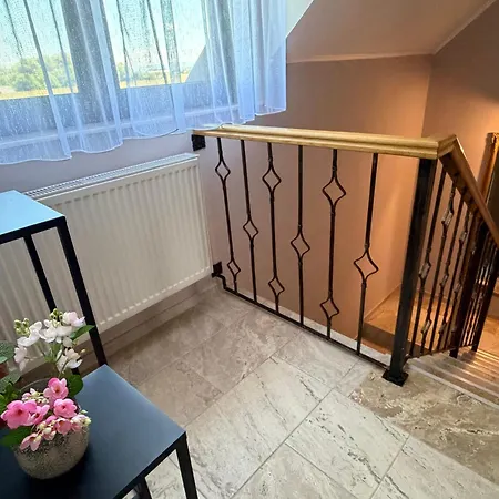 ゲストハウス Casa Malinului